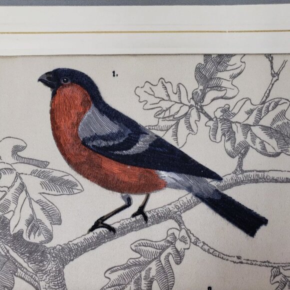 Bianchini Ferier Passereau Lyon Silk Art Bouvreuil & Gros Bec Birds Passereaux - Picture 3 of 9